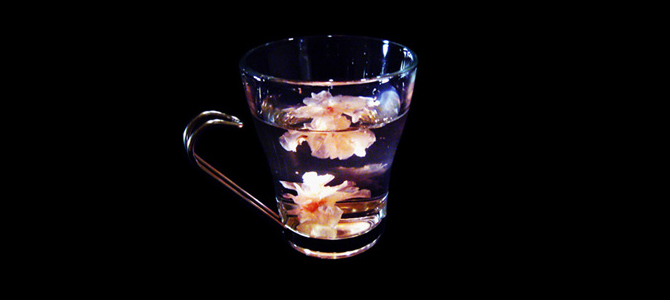 Hot SAKURA Cocktail